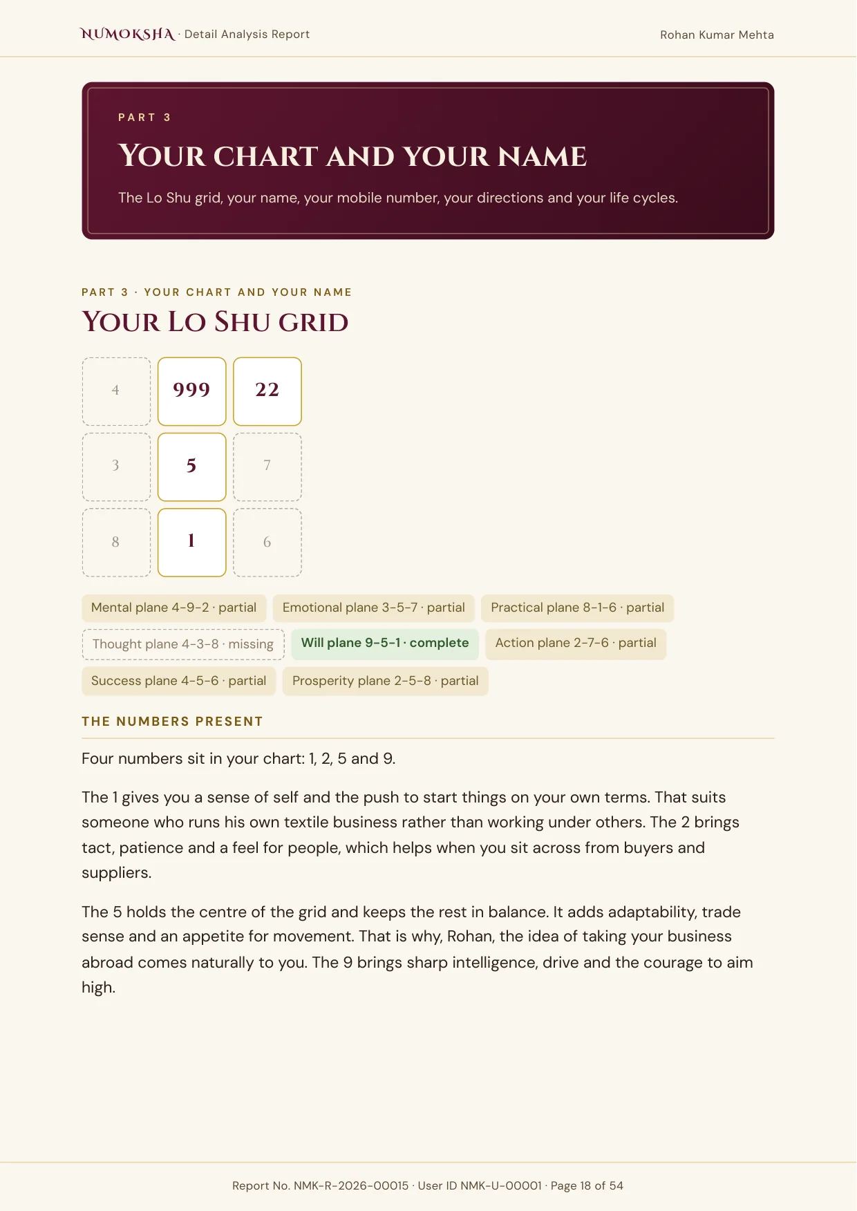 Sample report page: Your Lo Shu Grid